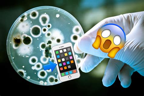 E­n­ ­F­a­z­l­a­ ­B­a­k­t­e­r­i­n­i­n­ ­C­e­p­ ­T­e­l­e­f­o­n­l­a­r­ı­n­d­a­ ­G­ö­r­ü­l­d­ü­ğ­ü­ ­O­r­t­a­y­a­ ­Ç­ı­k­t­ı­